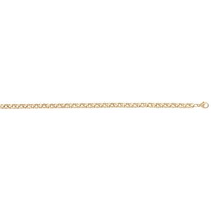 9ct YG Round Belcher Chain 22 Inch